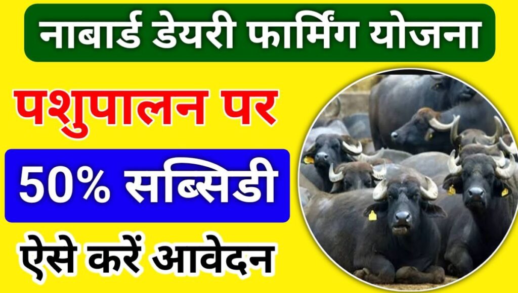 Nabard Dairy Loan Apply Online 2024