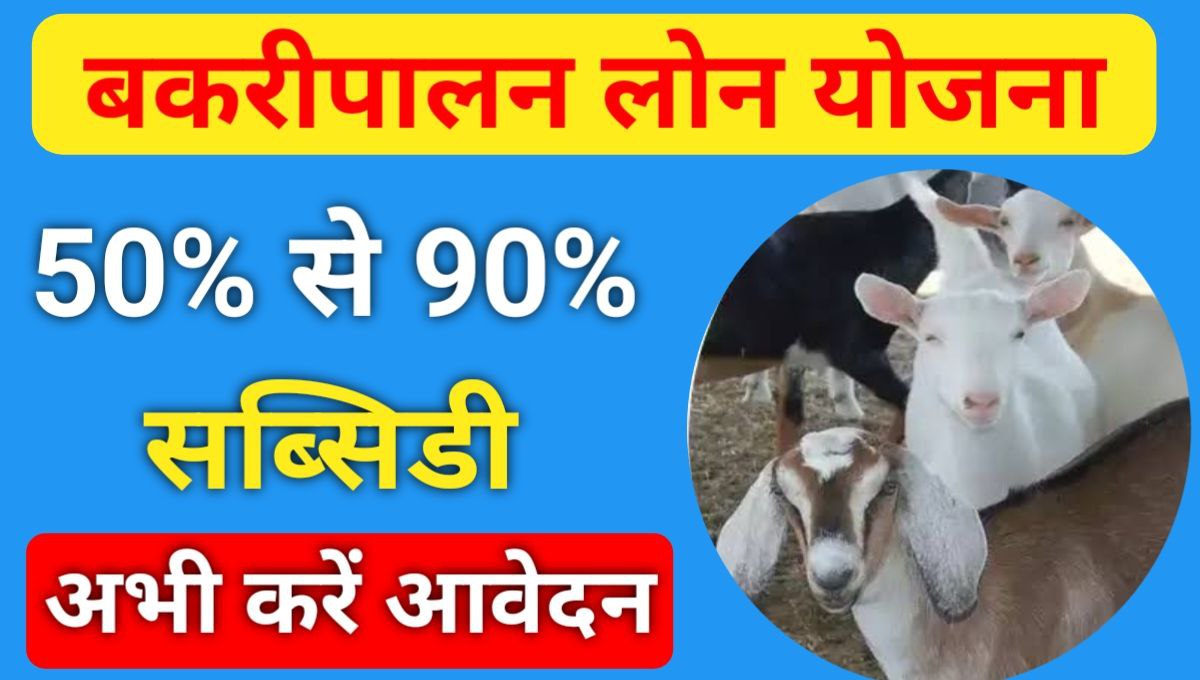 Goat Farming Loan 2024